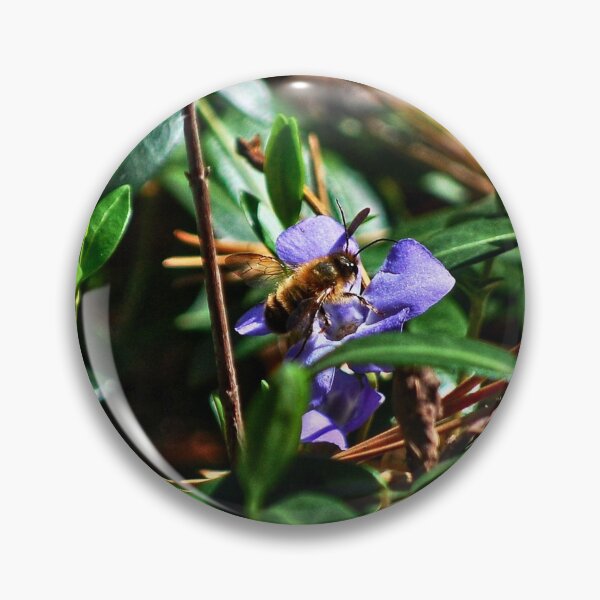 Item preview, First Bee Of The Year  designed and sold by TwistedP-Photos.
