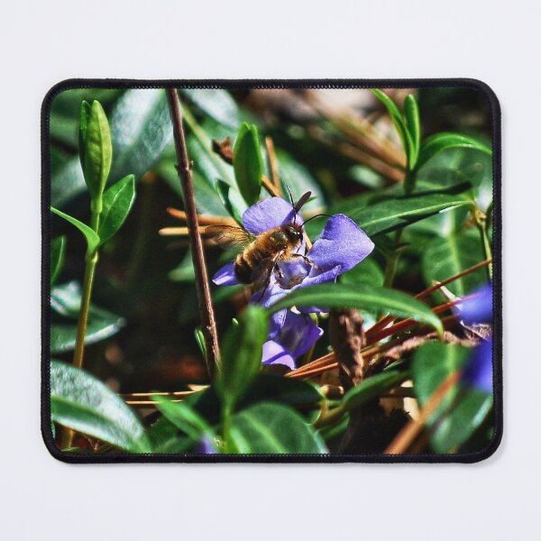 Item preview, First Bee Of The Year  designed and sold by TwistedP-Photos.
