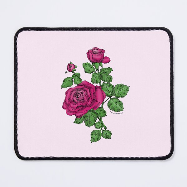 Item preview, Deep Pink High-Centered Rose Bloom Double 16-25 Petals In 3+ Rows designed and sold by Rachael Taylor.