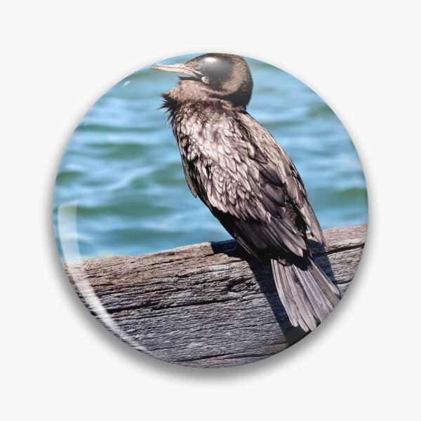 Item preview, Australian Little Black Cormorant30 designed and sold by kevin Chippindall.