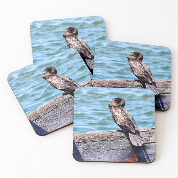 Item preview, Australian Little Black Cormorant30 designed and sold by kevin Chippindall.