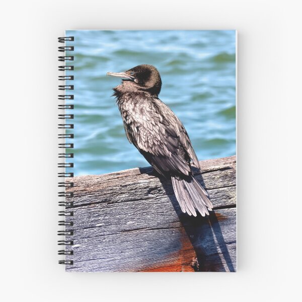 Item preview, Australian Little Black Cormorant30 designed and sold by kevin Chippindall.