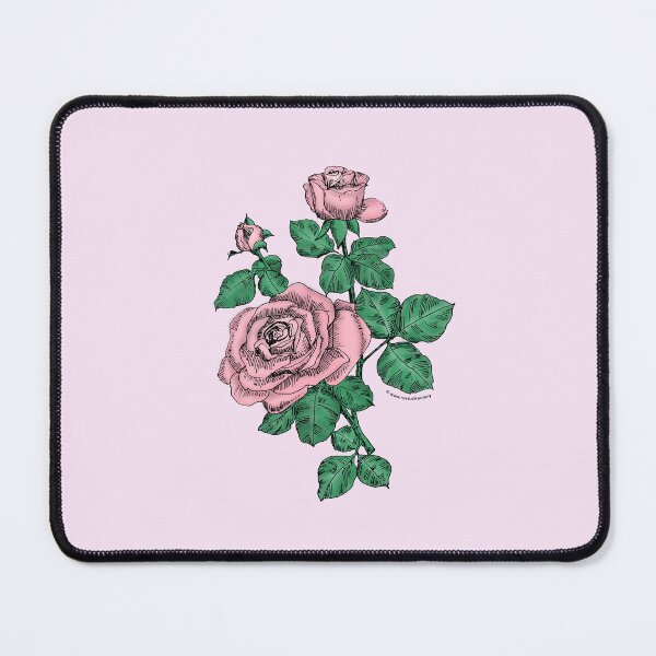 Item preview, Light Pink High-Centered Rose Bloom Double 16-25 Petals In 3+ Rows designed and sold by Rachael Taylor.