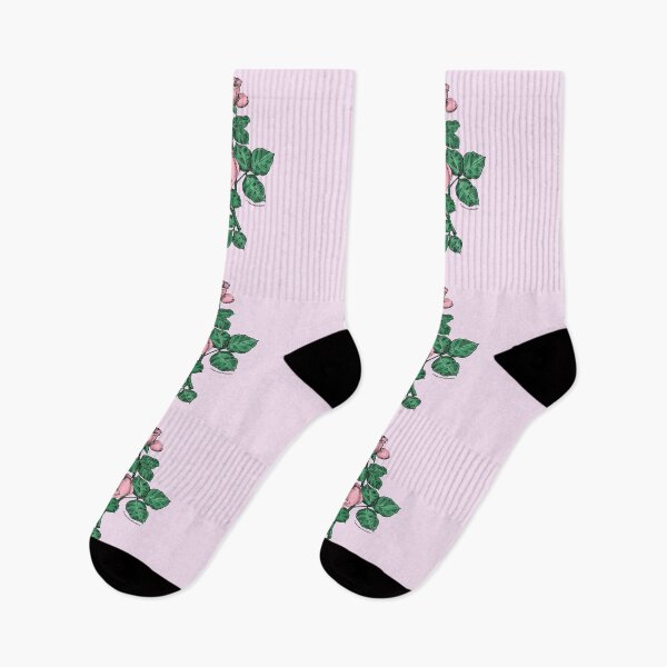 Item preview, Light Pink High-Centered Rose Bloom Double 16-25 Petals In 3+ Rows designed and sold by Rachael Taylor.