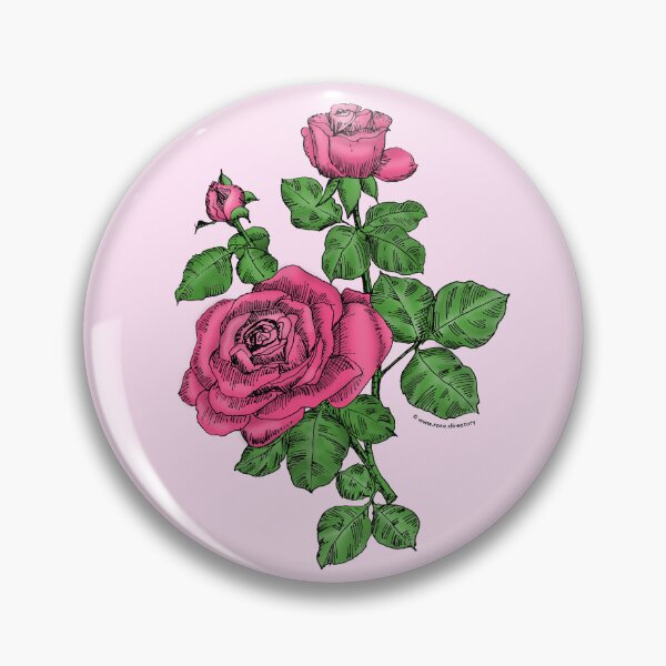 Item preview, Mid Pink High-Centered Rose Bloom Double 16-25 Petals In 3+ Rows designed and sold by Rachael Taylor.