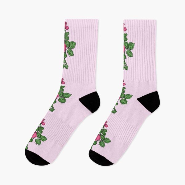 Item preview, Mid Pink High-Centered Rose Bloom Double 16-25 Petals In 3+ Rows designed and sold by Rachael Taylor.