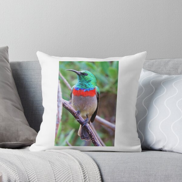 Item preview, Sun Bird Kebab... designed and sold by Chantelle Benade.