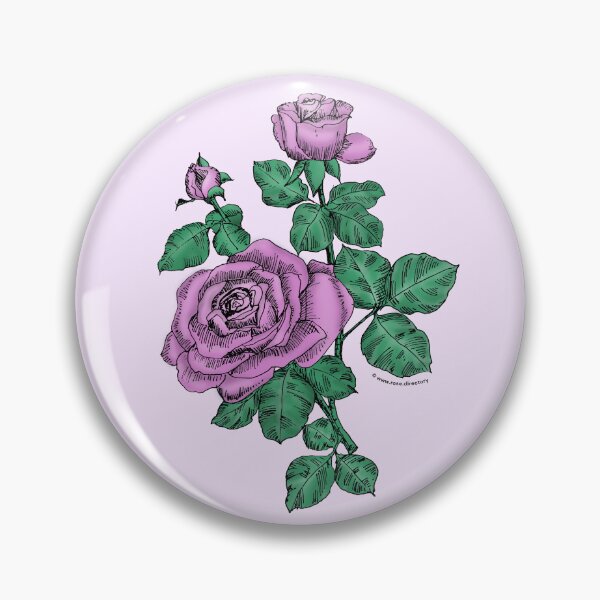 Item preview, Purple High-Centered Rose Bloom Double 16-25 Petals In 3+ Rows designed and sold by Rachael Taylor.