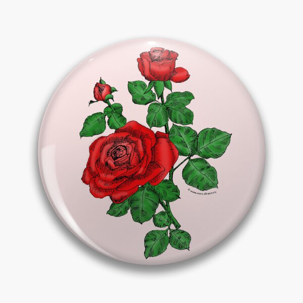 Item preview, Bright Red High-Centered Rose Bloom Double 16-25 Petals In 3+ Rows designed and sold by Rachael Taylor.