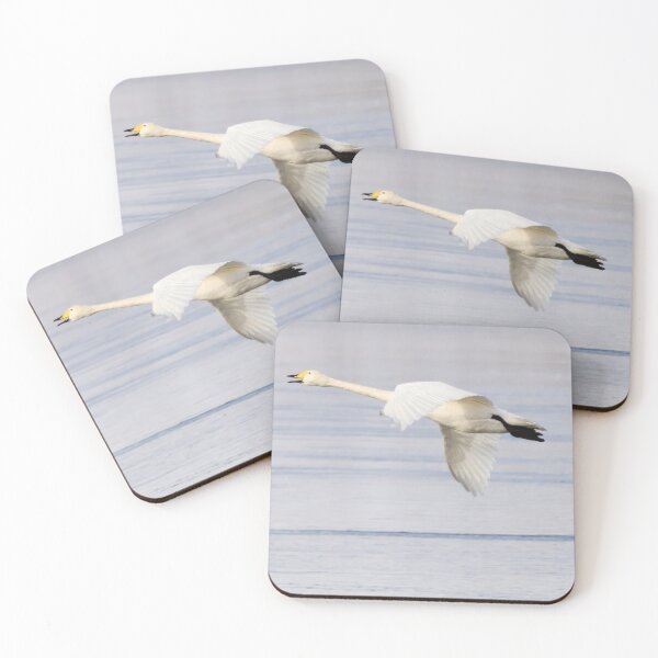Item preview, Panorama fly. Whooper swan designed and sold by Jouko Lehto Photography.