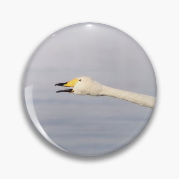 Item preview, Panorama fly. Whooper swan designed and sold by Jouko Lehto Photography.