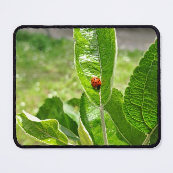 Item preview, Ladybug designed and sold by Purpurascens.