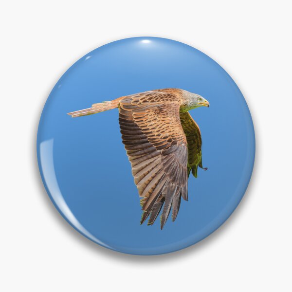 Item preview, Red Kite flypast designed and sold by Dalyndigital Photography.