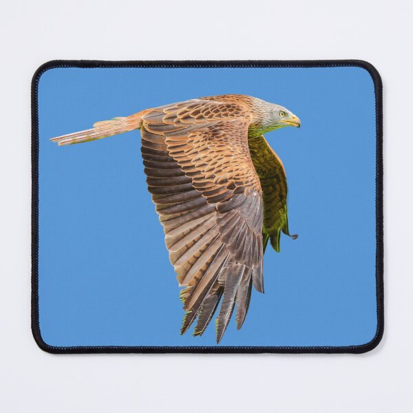 Item preview, Red Kite flypast designed and sold by Dalyndigital Photography.