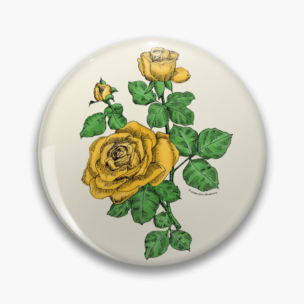 Item preview, Yellow High-Centered Rose Bloom Double 16-25 Petals In 3+ Rows designed and sold by Rachael Taylor.