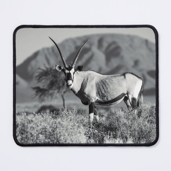 Item preview, An oryx antelope in Namibia designed and sold by Portalius.