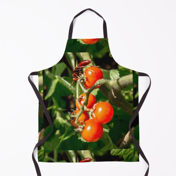 Item preview, Cherry tomato. designed and sold by Nino rocha fotografia.