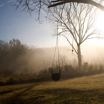 Artwork thumbnail, The Tire Swing by believer9
