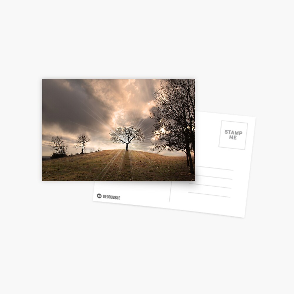 Item preview, Postcard designed and sold by believer9.