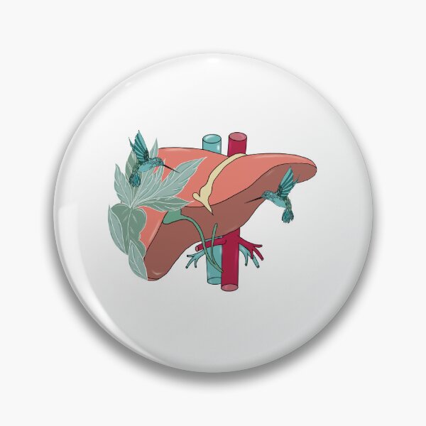 Item preview, Liver anatomy medical doctor designed and sold by carries-anatomy.