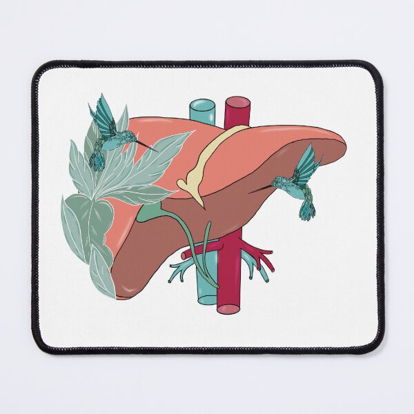 Item preview, Liver anatomy medical doctor designed and sold by carries-anatomy.