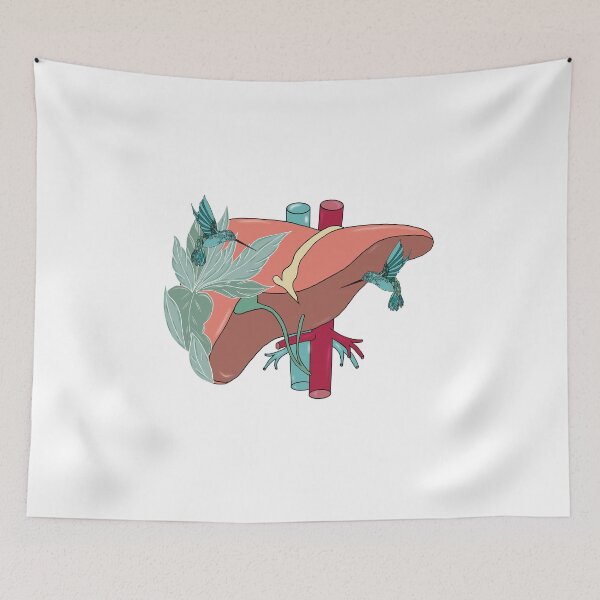 Item preview, Liver anatomy medical doctor designed and sold by carries-anatomy.