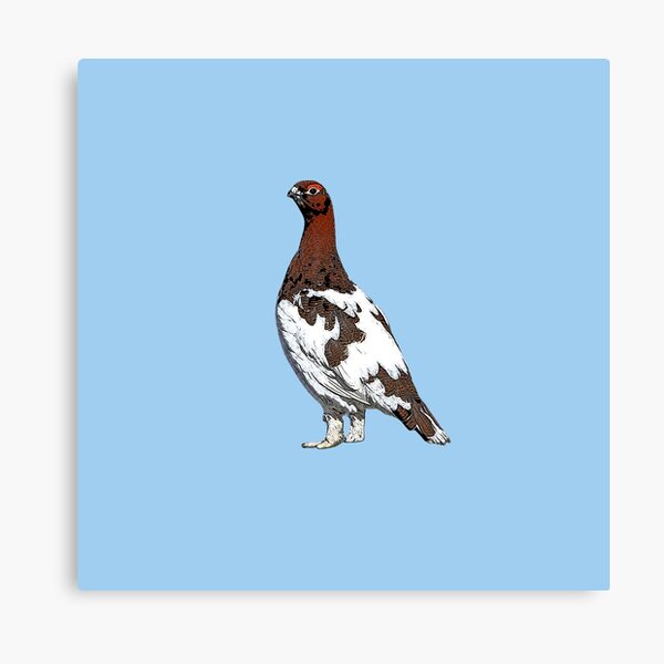 Item preview,  Willow Ptarmigan Summer Color Design  designed and sold by designsasstultd.