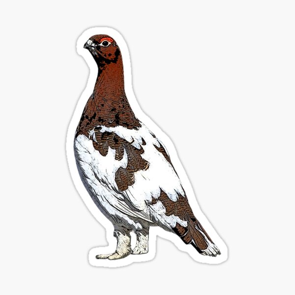 Item preview,  Willow Ptarmigan Summer Color Design  designed and sold by designsasstultd.