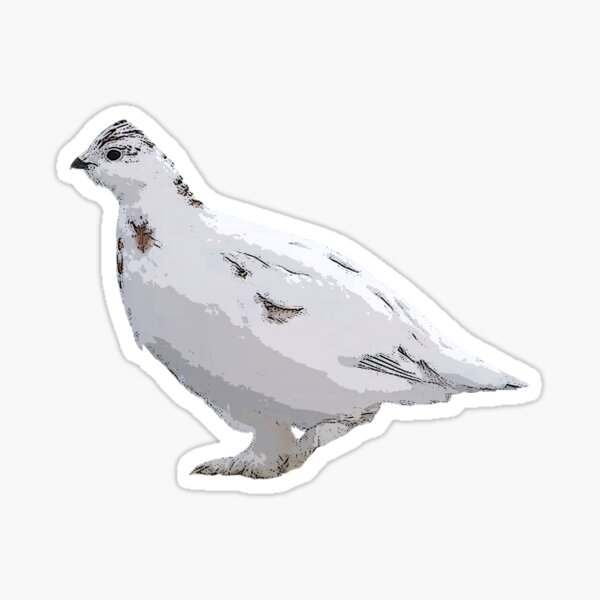 Item preview, Willow Ptarmigan Winter Color Design  designed and sold by designsasstultd.