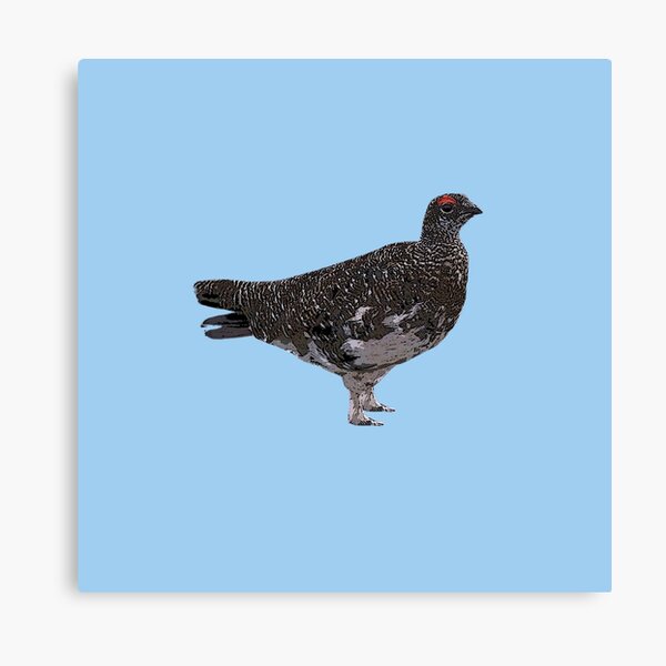 Item preview, Rock Ptarmigan Color Design  designed and sold by designsasstultd.