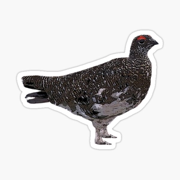 Item preview, Rock Ptarmigan Color Design  designed and sold by designsasstultd.