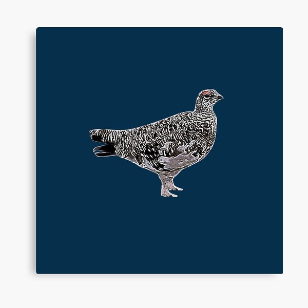Item preview, Rock Ptarmigan White Alternate Design  designed and sold by designsasstultd.