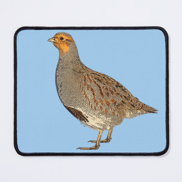 Item preview, Gray Partridge Color Design  designed and sold by designsasstultd.