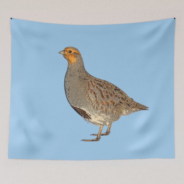 Item preview, Gray Partridge Color Design  designed and sold by designsasstultd.