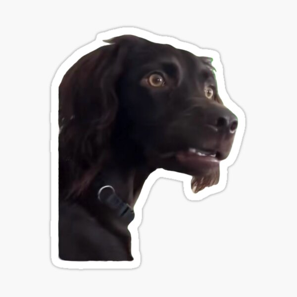 Item preview, surprised dog reaction meme designed and sold by misscouchpotato.