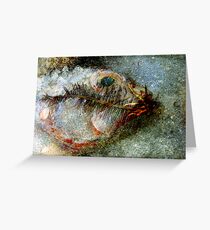 Eco-Interaction Greeting Card