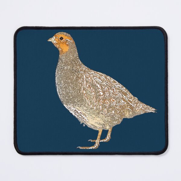 Item preview, Gray Partridge White Alternate Design designed and sold by designsasstultd.