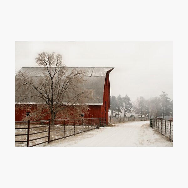 Photographic Print