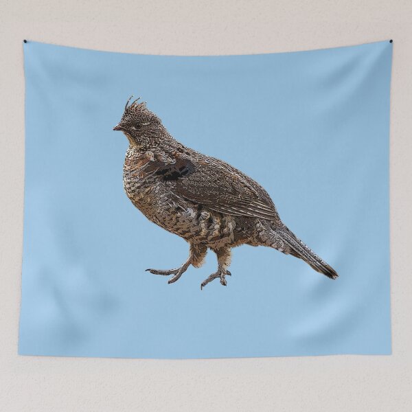 Item preview, Ruffed Grouse Color Design  designed and sold by designsasstultd.