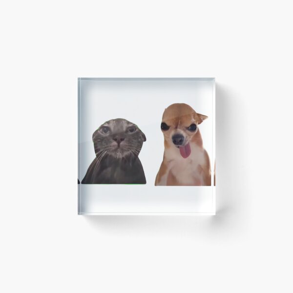Item preview, silly dog cat reaction meme brainrot designed and sold by misscouchpotato.