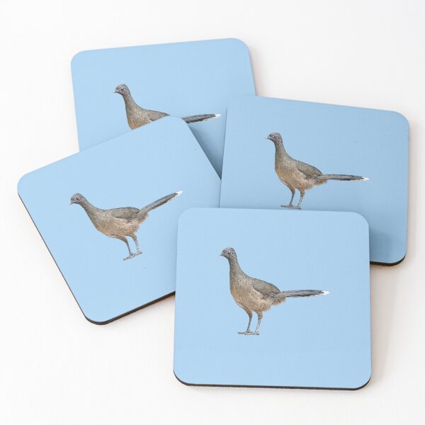 Artikelvorschau, Chachalaca-Farbdesign entworfen und verkauft von designsasstultd.