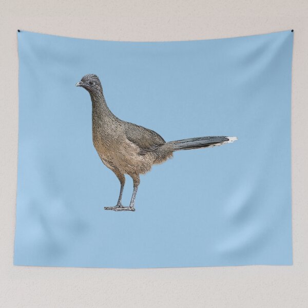 Artikelvorschau, Chachalaca-Farbdesign entworfen und verkauft von designsasstultd.