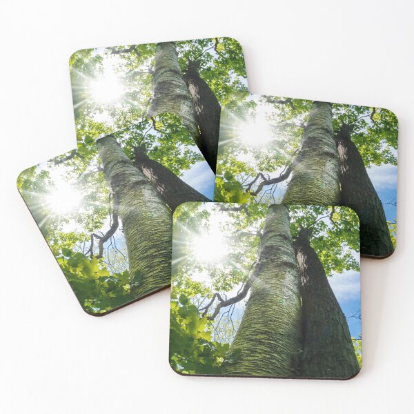 Item preview, Trees Hugging in the Bright Sun designed and sold by jrtwynam.