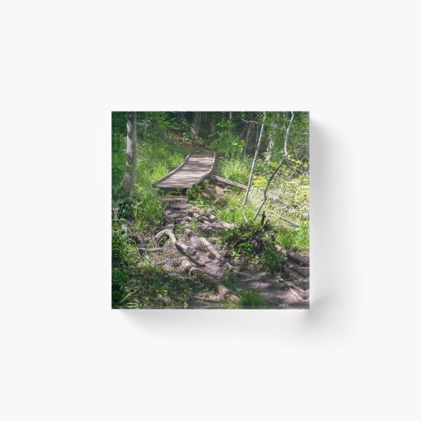 Item preview, Wooden Footbridge through a Forest designed and sold by jrtwynam.