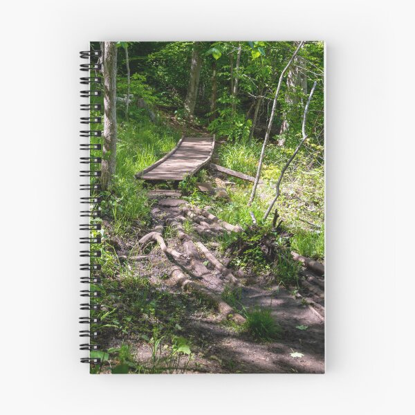 Item preview, Wooden Footbridge through a Forest designed and sold by jrtwynam.