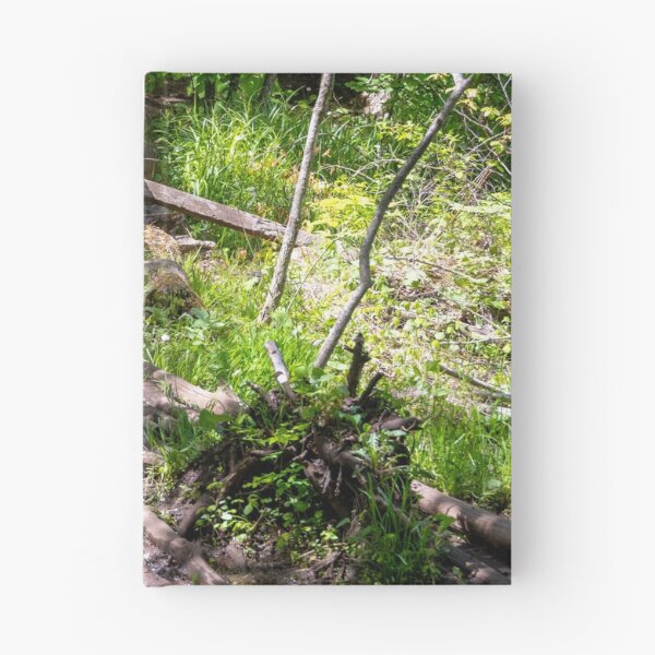 Item preview, Wooden Footbridge through a Forest designed and sold by jrtwynam.