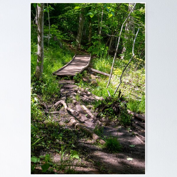 Item preview, Wooden Footbridge through a Forest designed and sold by jrtwynam.