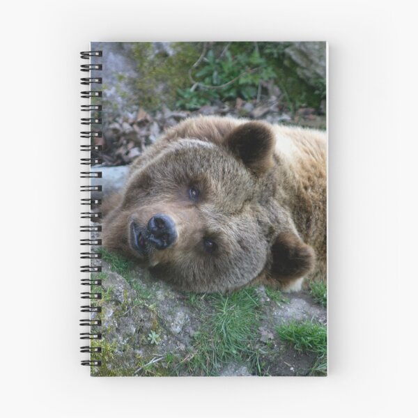 Item preview, Ursus arctos designed and sold by Mythos57.