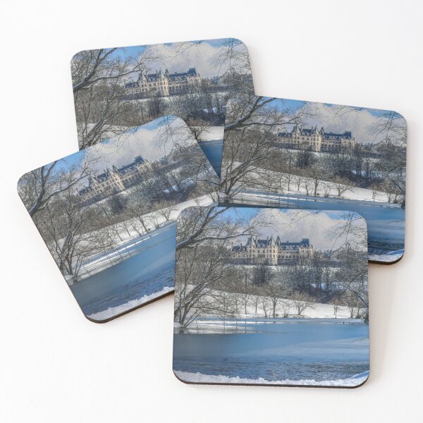 Item preview, Winter Comes To The Biltmore Mansion On The Hill designed and sold by CarolRMontoya.
