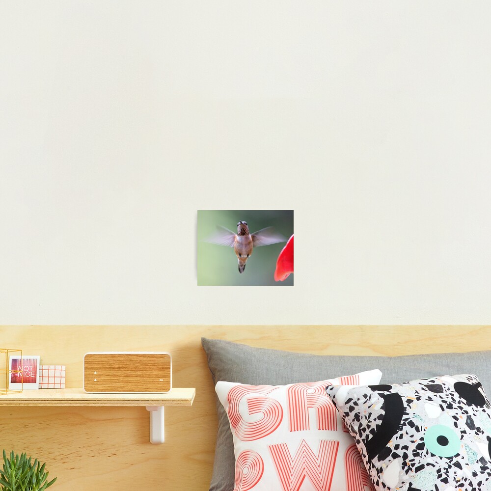 Item preview, Photographic Print designed and sold by Buzzimage.